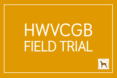 HWVCGB NOVICE FIELD TRIAL