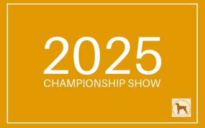 2025 HWVCGB CHAMP SHOW