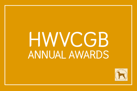 HWVCGB ANNUAL AWARDS