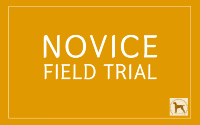 NOVICE FIELD TRIAL