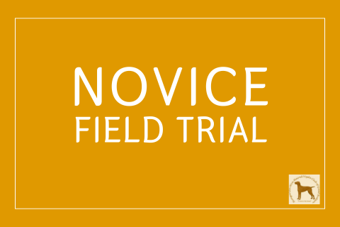 NOVICE FIELD TRIAL