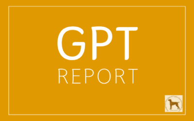 GPT REPORT